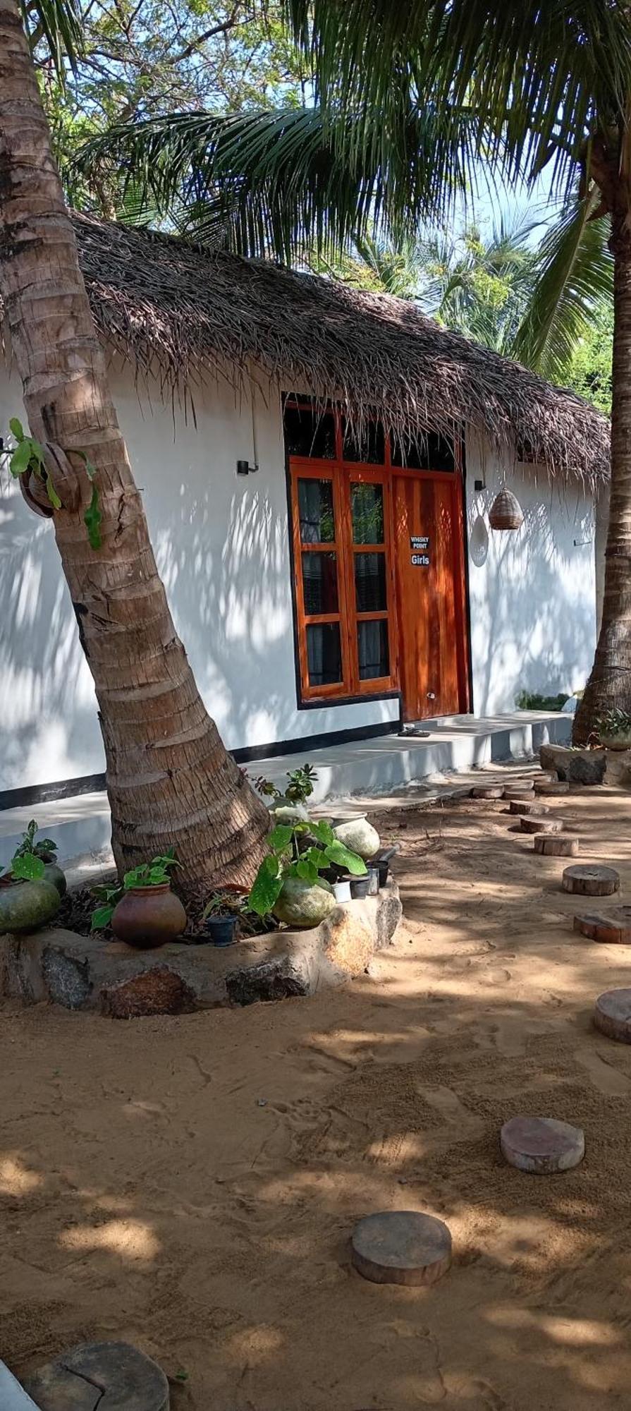 Surfing Lion Hostel Arugam Bay Εξωτερικό φωτογραφία