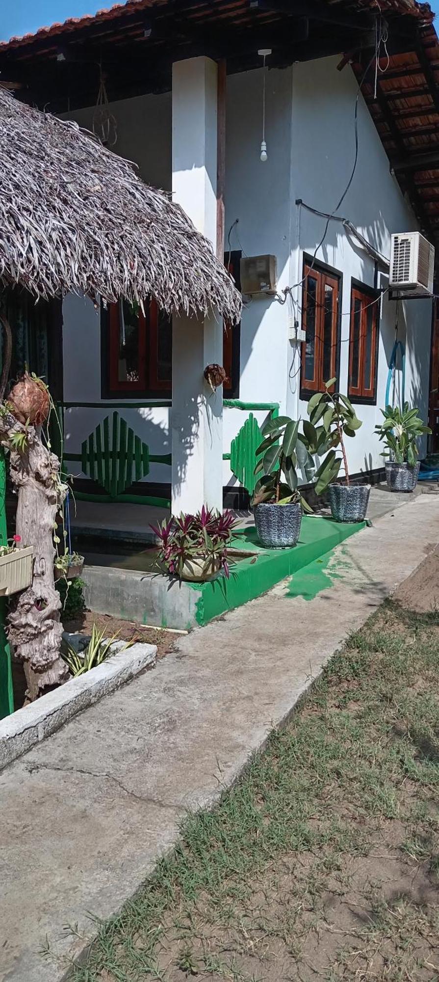 Surfing Lion Hostel Arugam Bay Εξωτερικό φωτογραφία