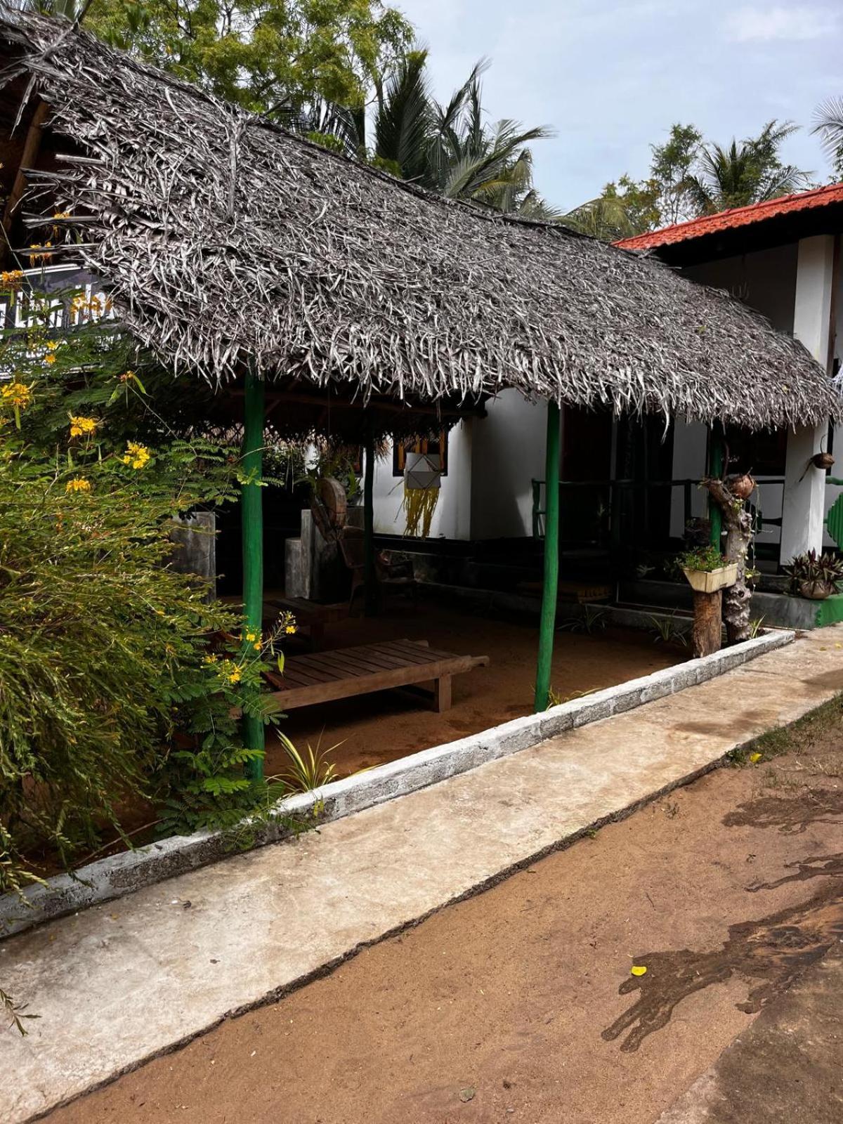 Surfing Lion Hostel Arugam Bay Εξωτερικό φωτογραφία