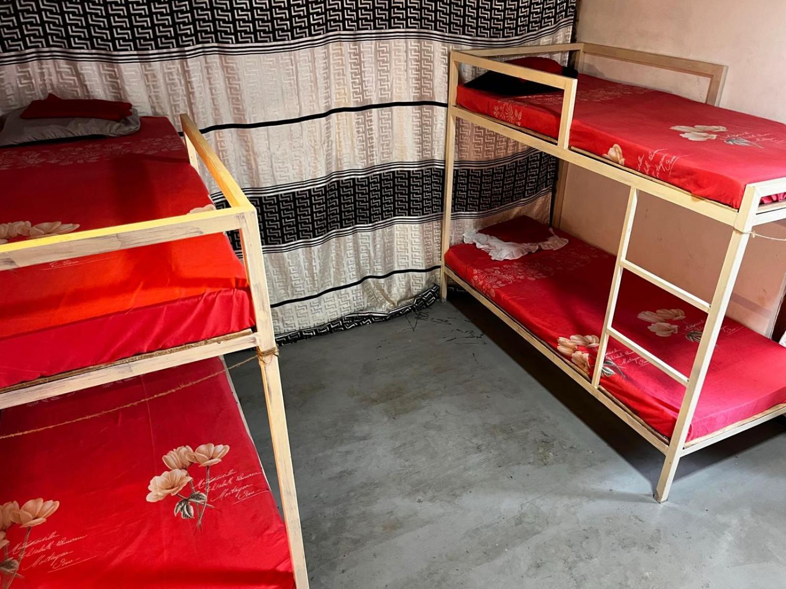 Surfing Lion Hostel Arugam Bay Εξωτερικό φωτογραφία