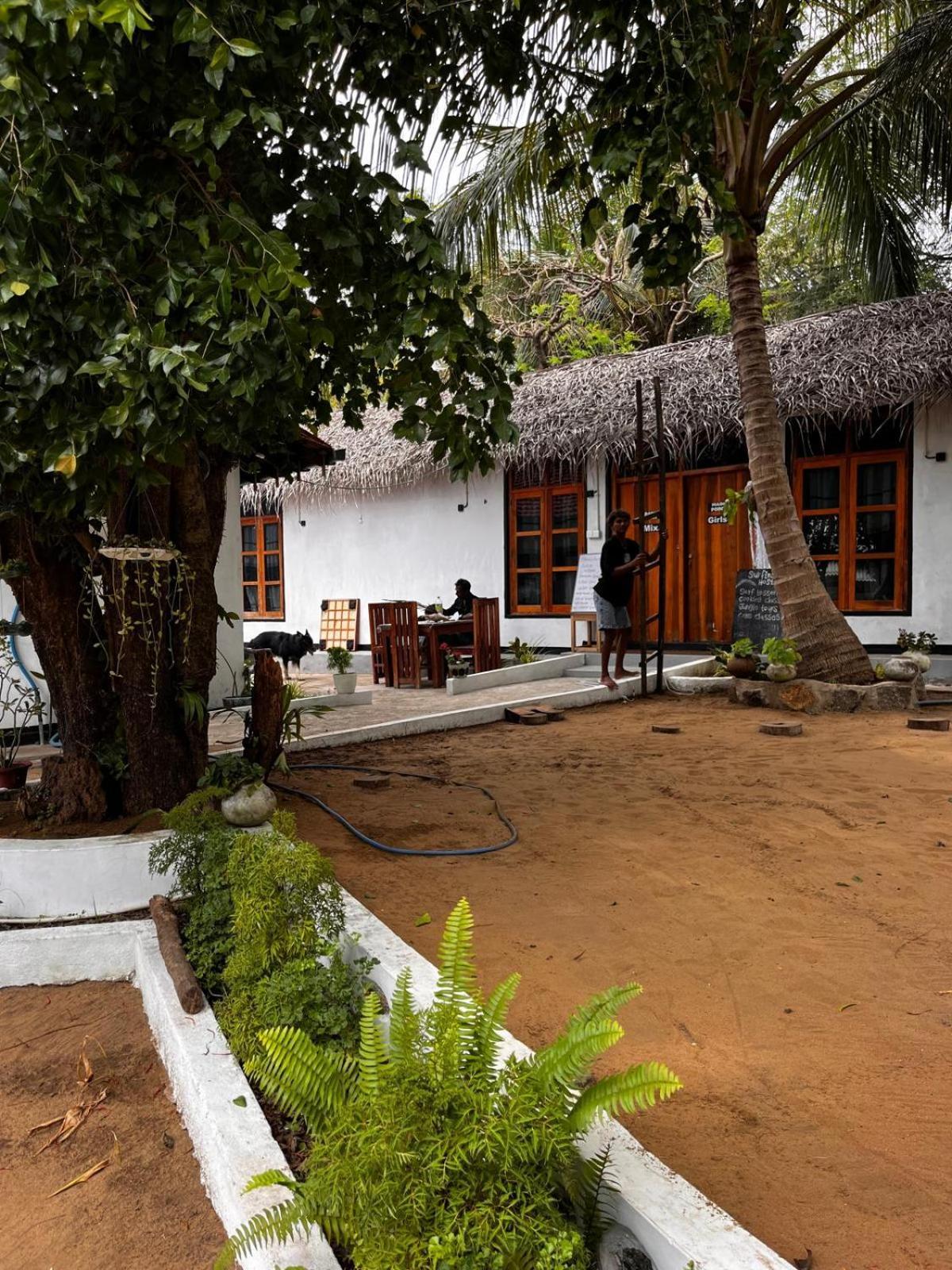 Surfing Lion Hostel Arugam Bay Εξωτερικό φωτογραφία