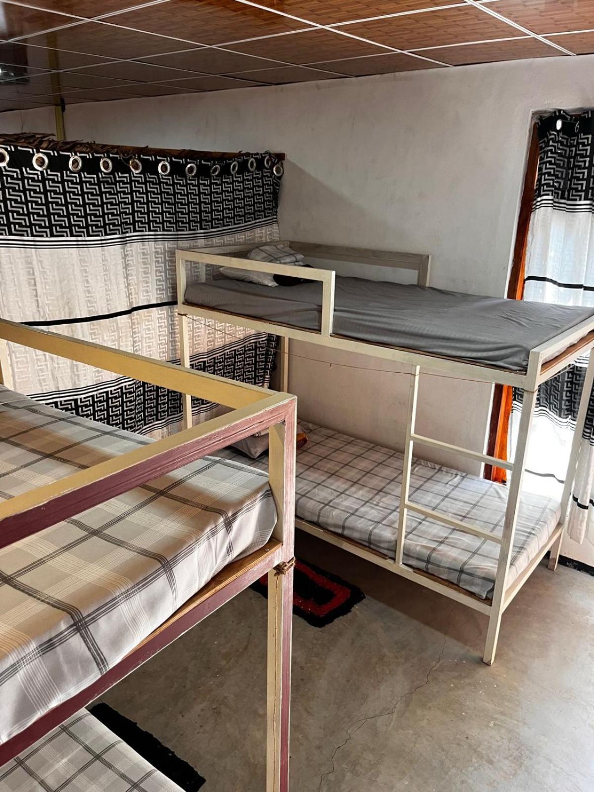 Surfing Lion Hostel Arugam Bay Εξωτερικό φωτογραφία