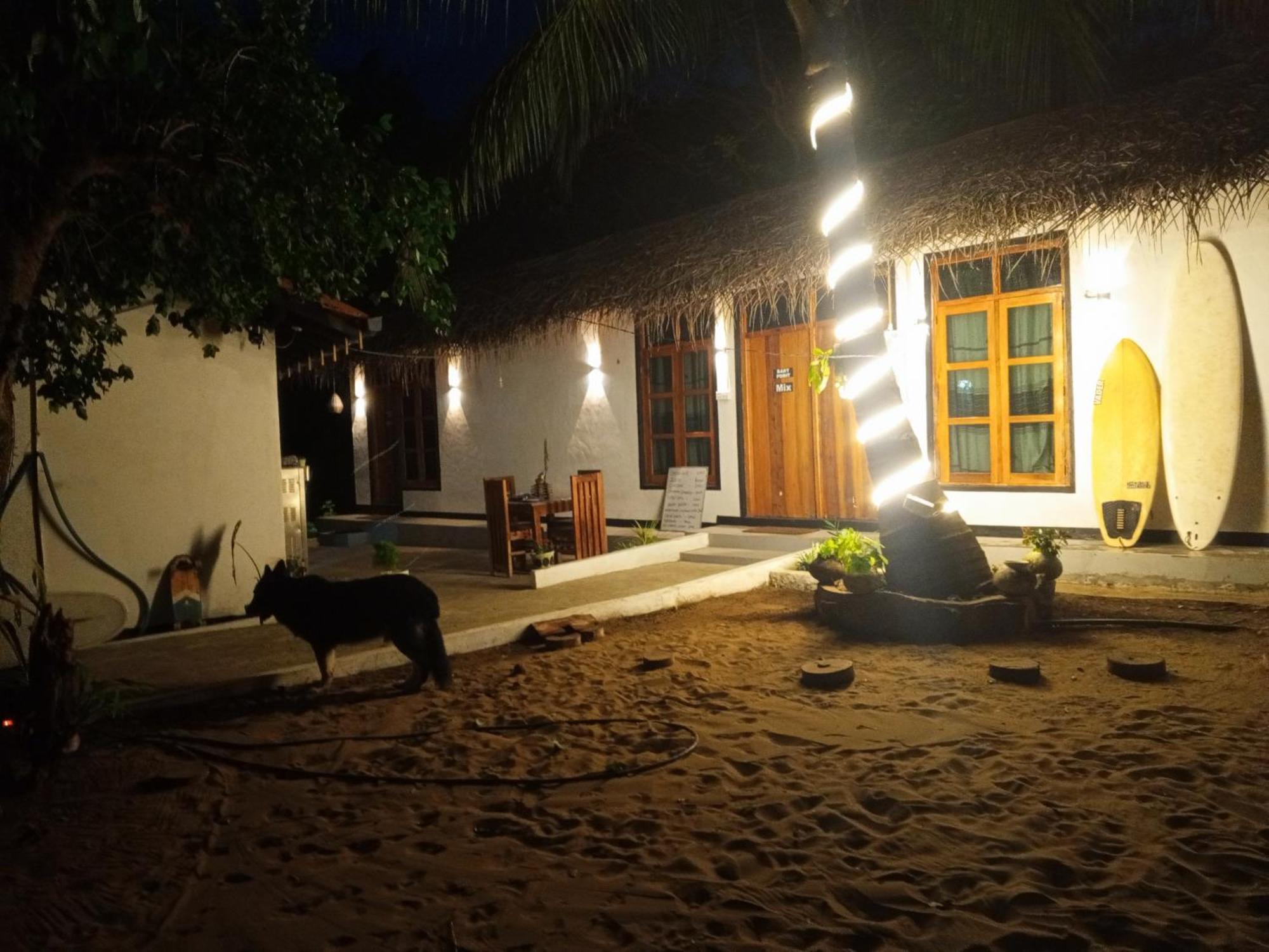 Surfing Lion Hostel Arugam Bay Εξωτερικό φωτογραφία