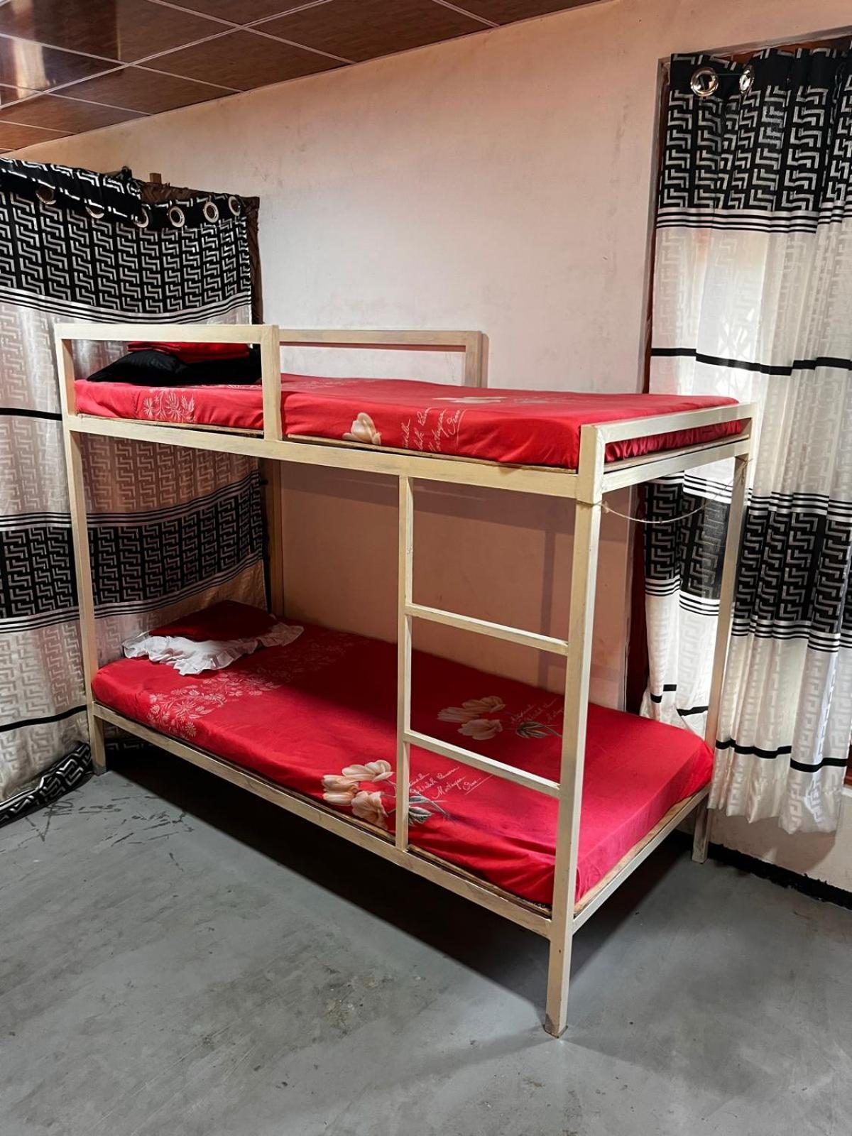 Surfing Lion Hostel Arugam Bay Εξωτερικό φωτογραφία