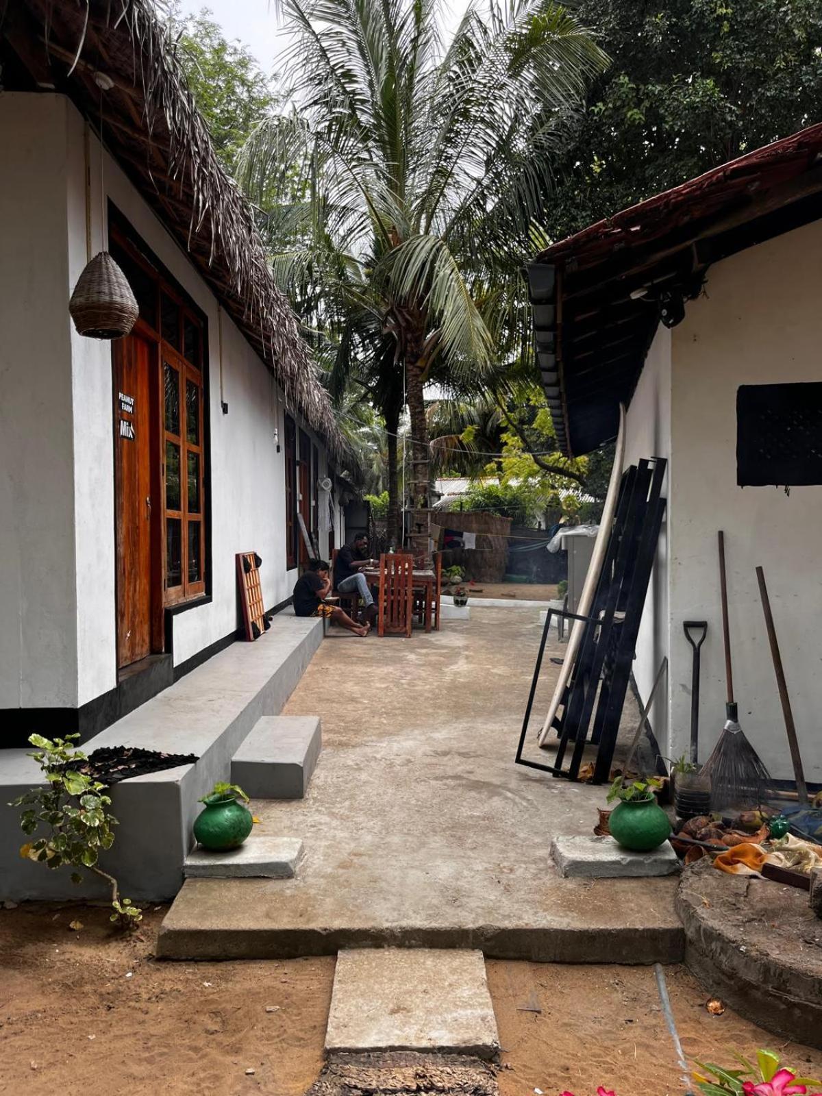 Surfing Lion Hostel Arugam Bay Εξωτερικό φωτογραφία