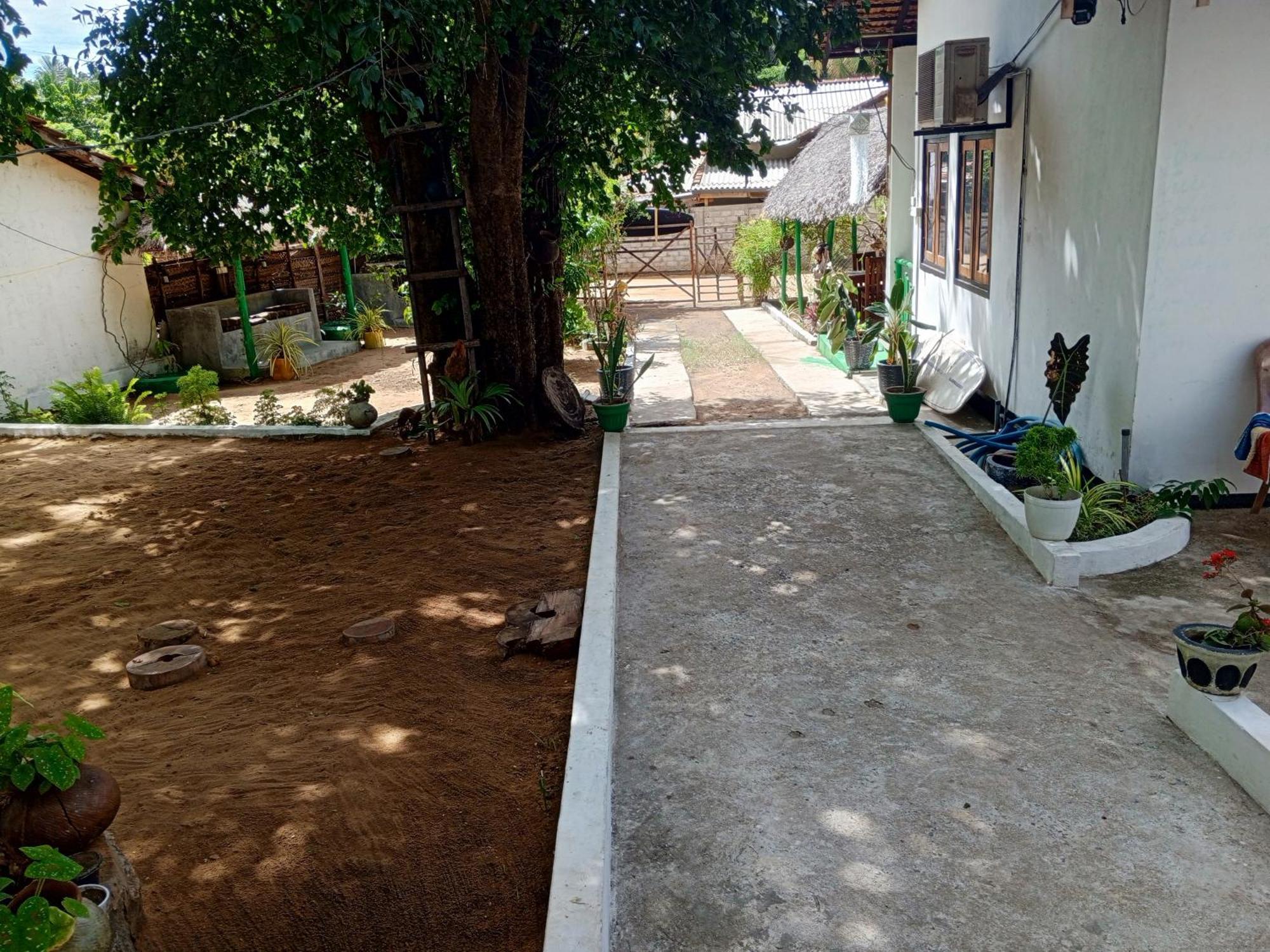 Surfing Lion Hostel Arugam Bay Εξωτερικό φωτογραφία