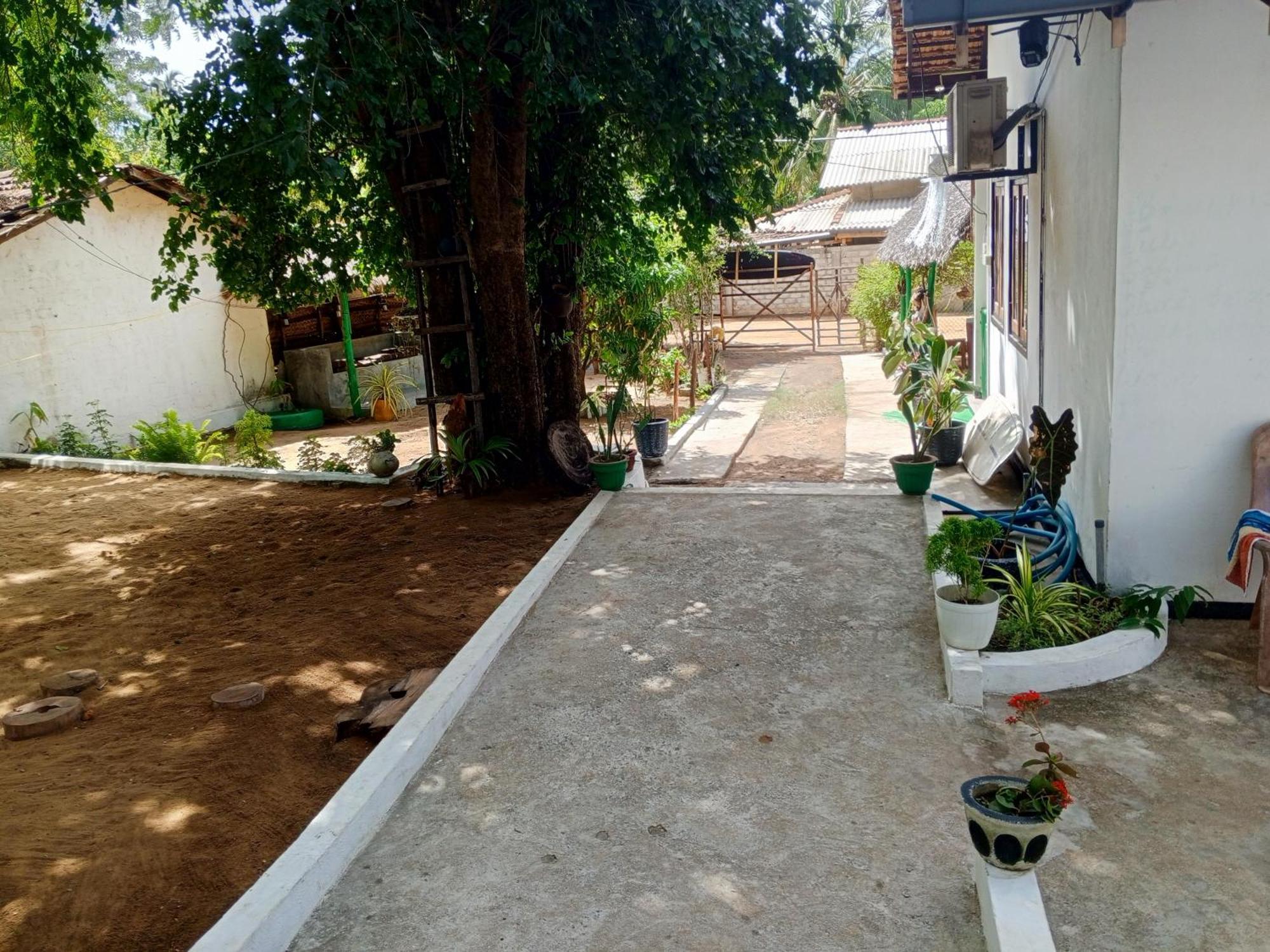 Surfing Lion Hostel Arugam Bay Εξωτερικό φωτογραφία