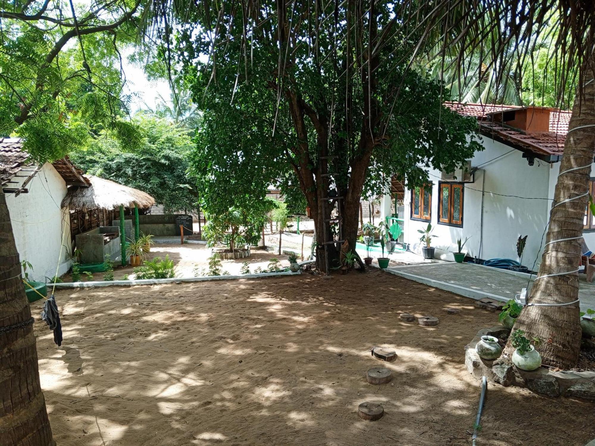 Surfing Lion Hostel Arugam Bay Εξωτερικό φωτογραφία